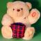 Teddy Bear Mobile Phone Senor Toys